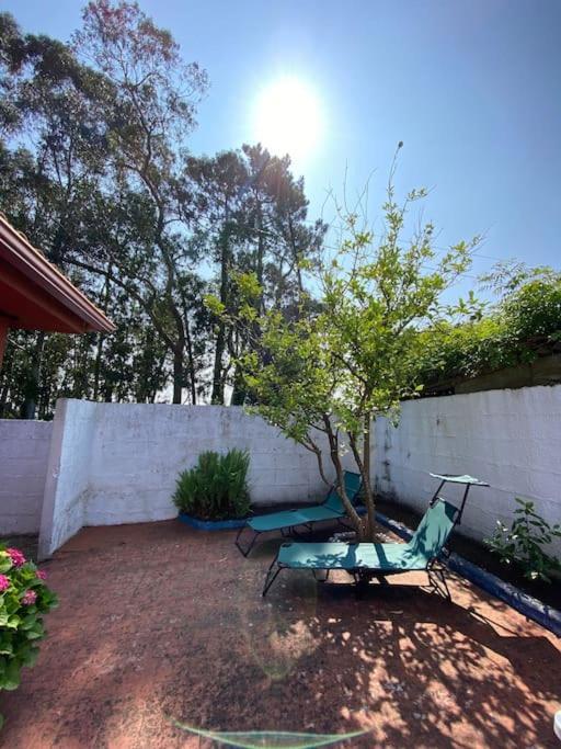 فيلا إيسلا دي أروسافي La Casilla - Illa Isla De Arousa - Preciosa Casa Enfrente A Playa Con Vistas Al Mar Y Playa المظهر الخارجي الصورة
